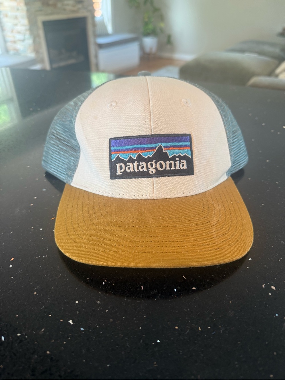 Patagonia Trucker Hat in White, Teal & Brown